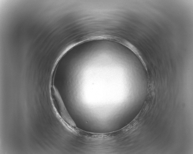 X0000064760811200602241912
