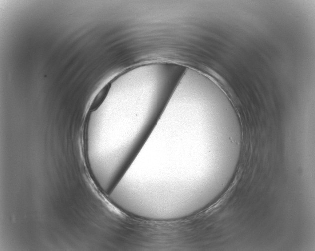 X0000064760812200602241912