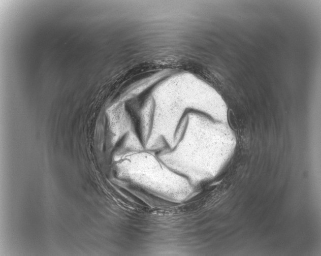 X0000064760817200602241911