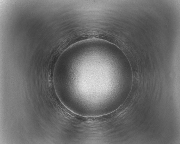 X0000064760818200602241911