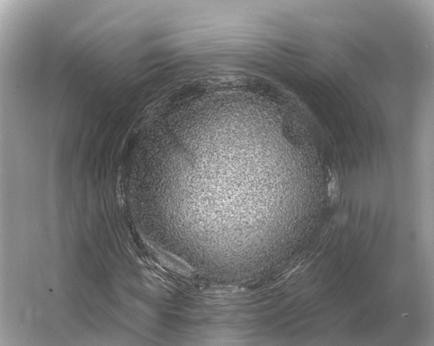 X0000064760819200602241911