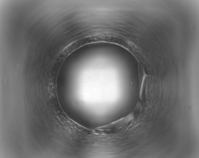 X0000064760822200602241911