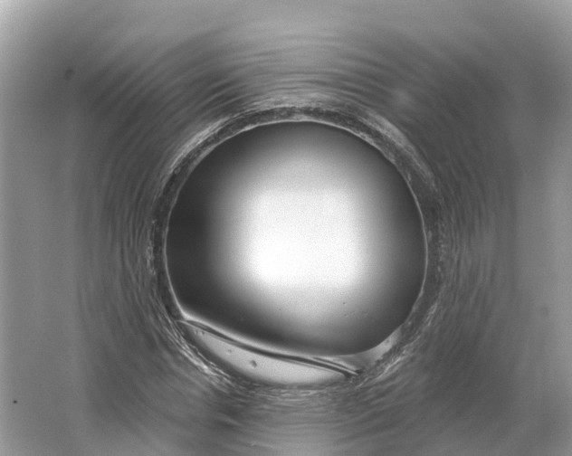 X0000064760826200602241911