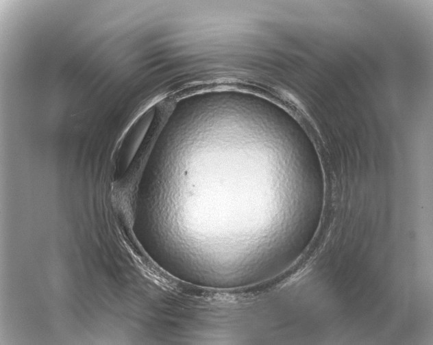 X0000064760827200602241911