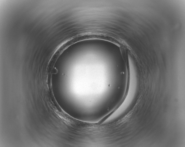 X0000064760830200602241911