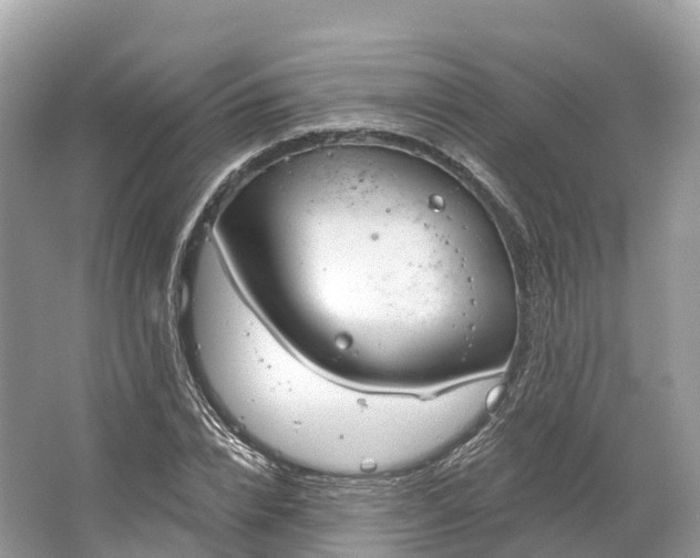 X0000064760832200602241911