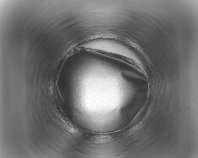 X0000064760833200602241911
