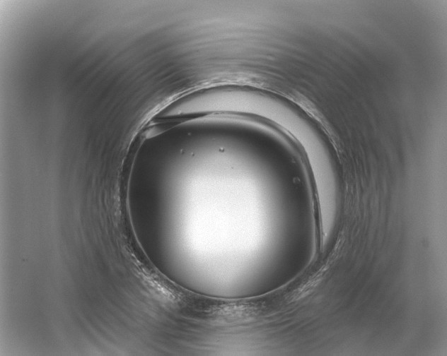 X0000064760834200602241911