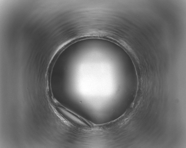 X0000064760838200602241911