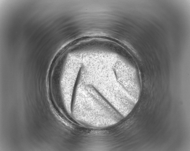 X0000064760840200602241911