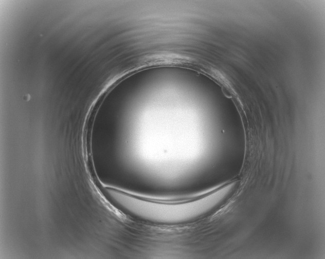 X0000064760843200602241912