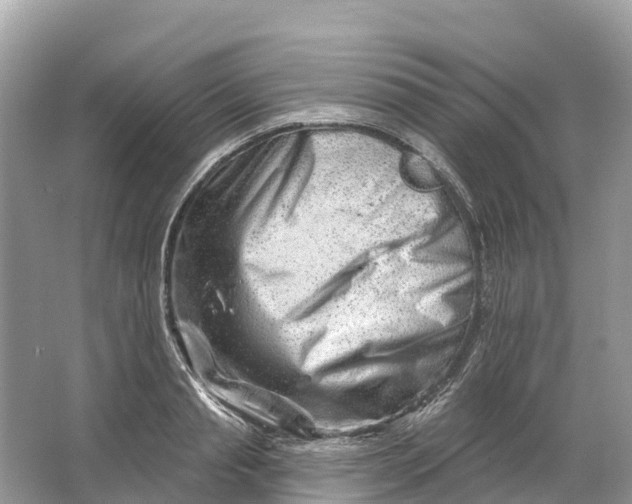 X0000064760845200602241912