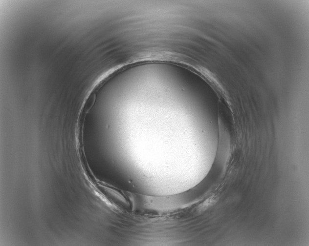 X0000064760846200602241912