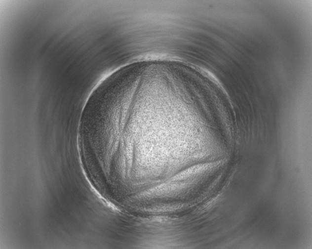 X0000064760847200602241912