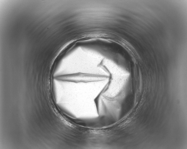 X0000064760852200602241912