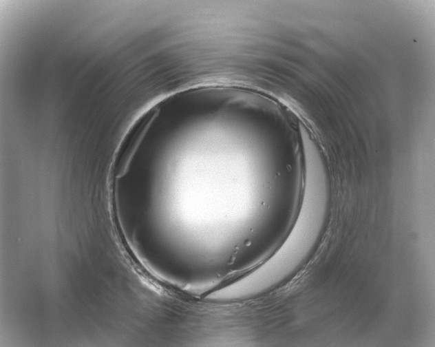 X0000064760854200602241912
