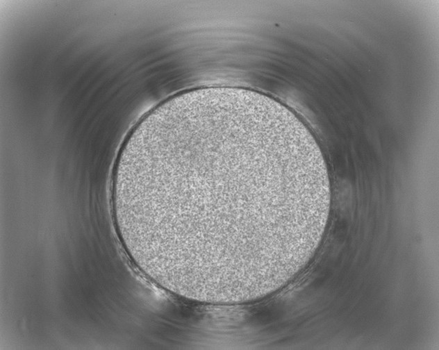 X0000064760856200602241912