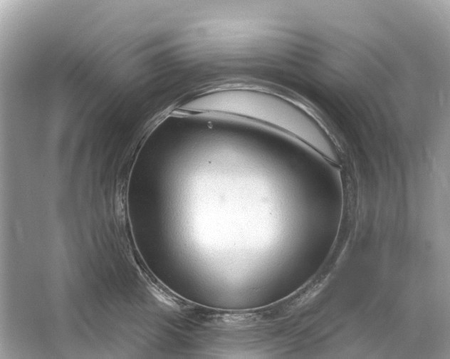 X0000064760857200602241912