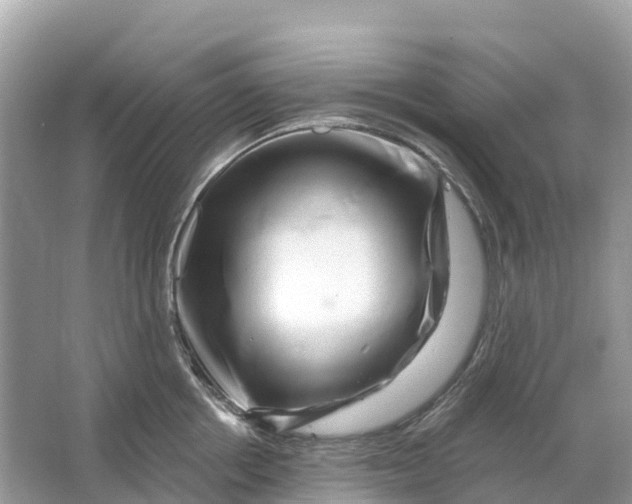 X0000064760858200602241912
