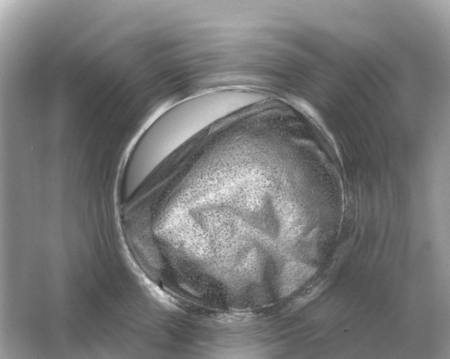 X0000064760859200602241912