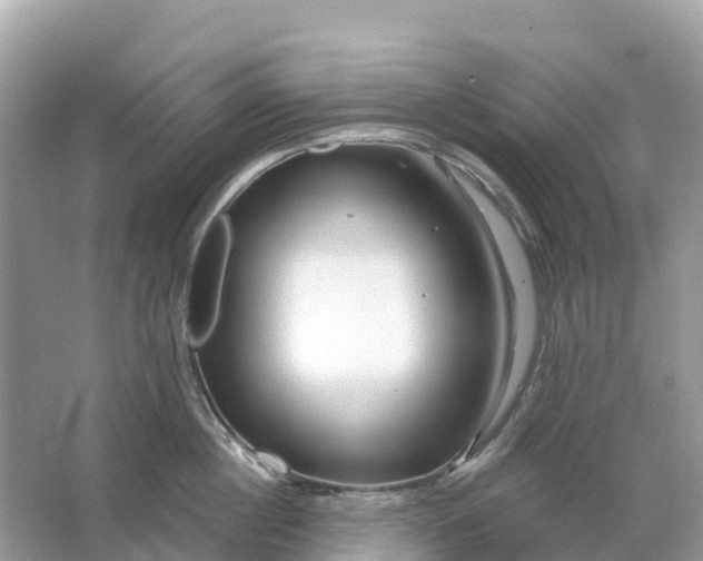 X0000064760860200602241912