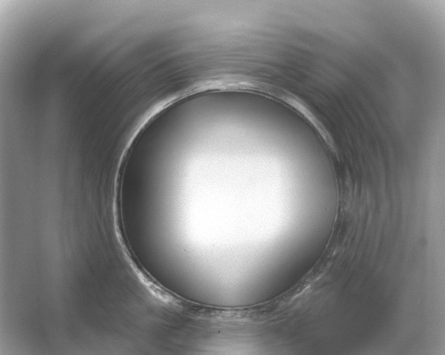 X0000064760861200602241912