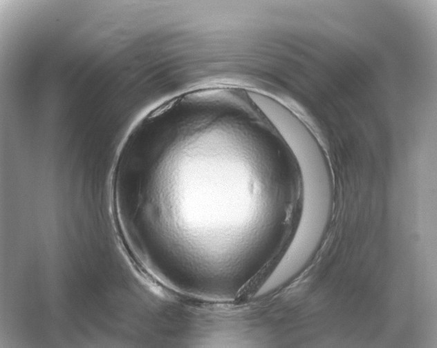 X0000064760862200602241912