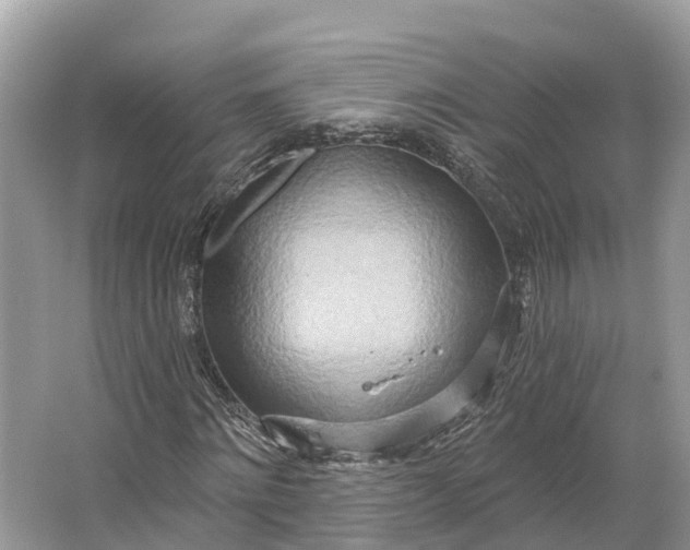 X0000064760868200602241911