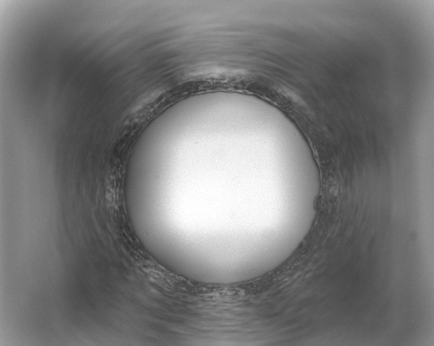 X0000064760869200602241911