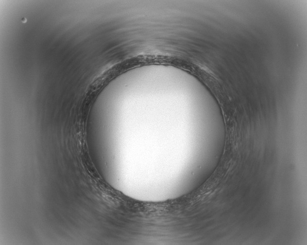 X0000064760870200602241911