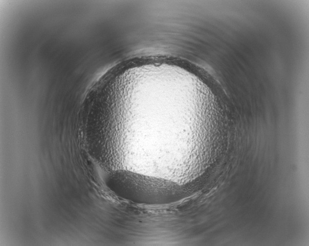 X0000064760871200602241911