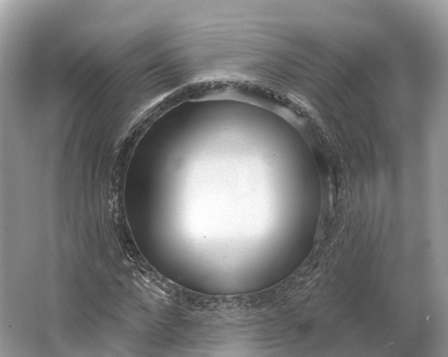 X0000064760872200602241911
