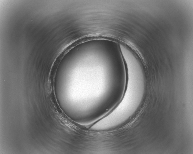 X0000064760876200602241911