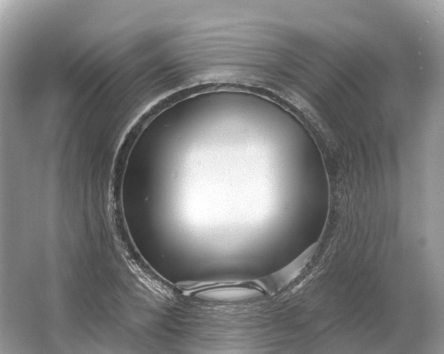 X0000064760880200602241910