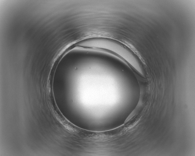 X0000064760885200602241910