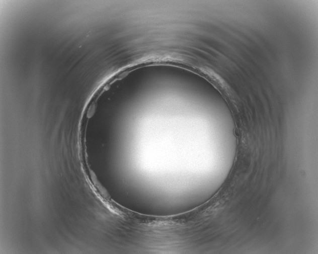 X0000064760894200602241910