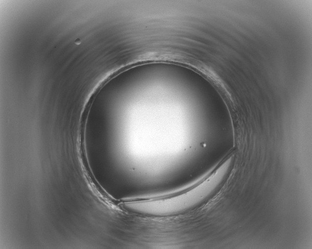 X0000064760896200602241910