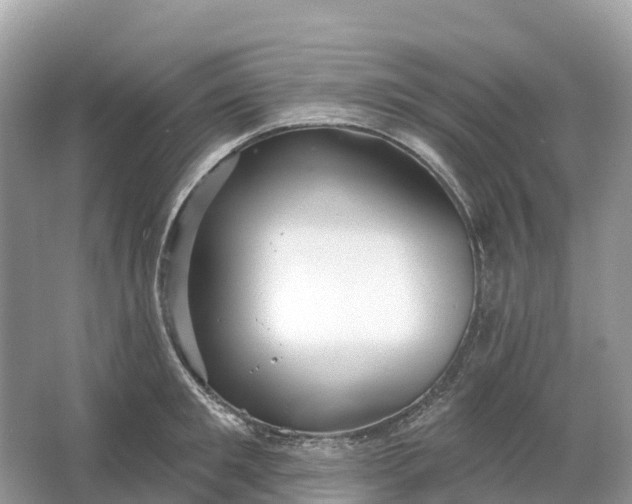 X0000064760901200602241910