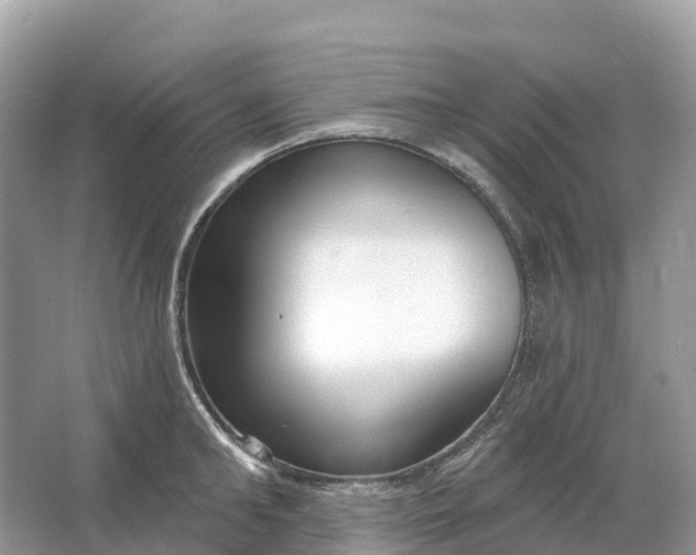 X0000064760902200602241910