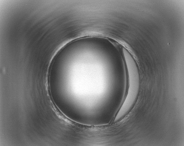 X0000064760904200602241910
