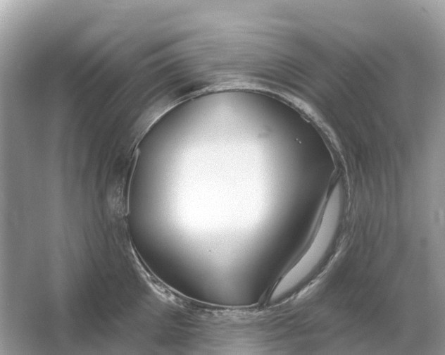 X0000064760905200602241910
