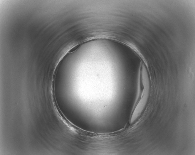 X0000064760906200602241910