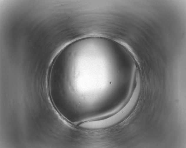 X0000064760910200602241910