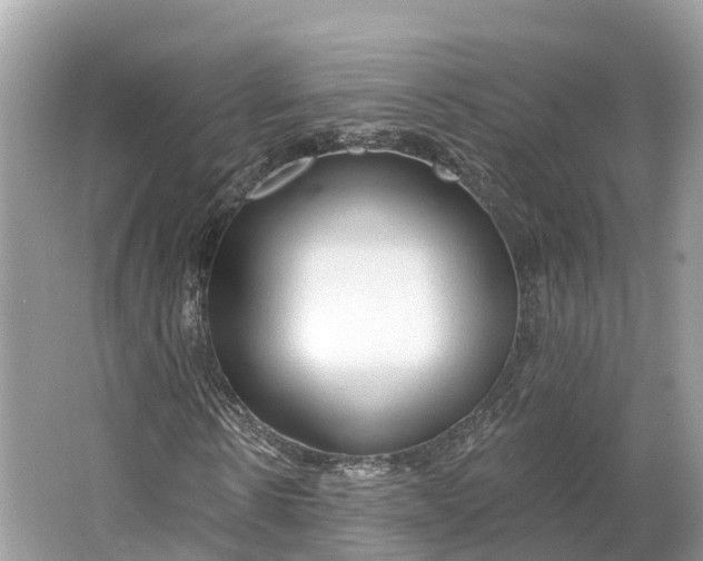 X0000064760914200602241908