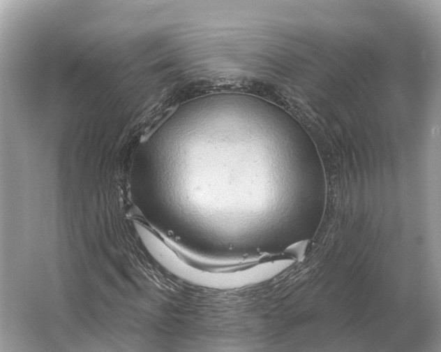 X0000064760916200602241909