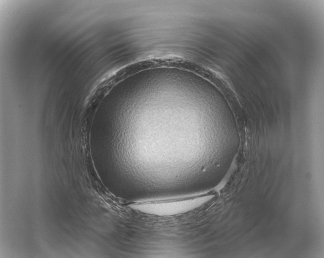 X0000064760920200602241909