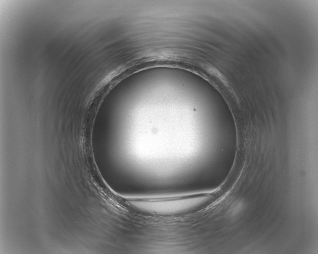X0000064760922200602241909