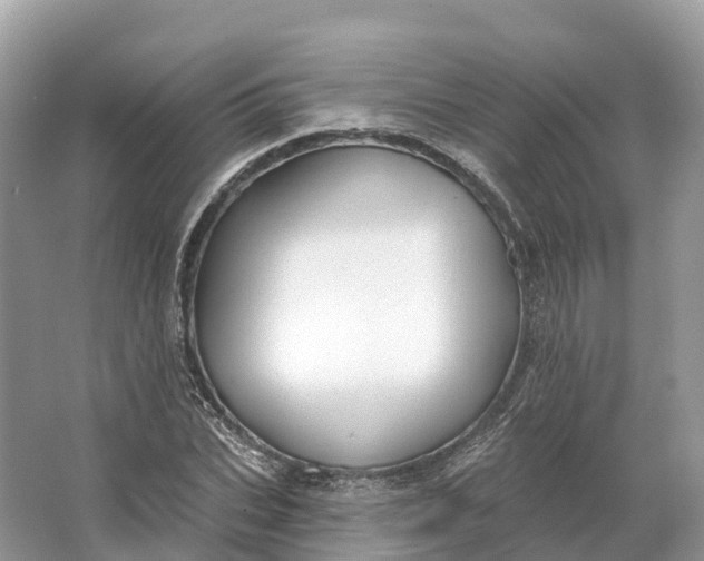 X0000064760927200602241909