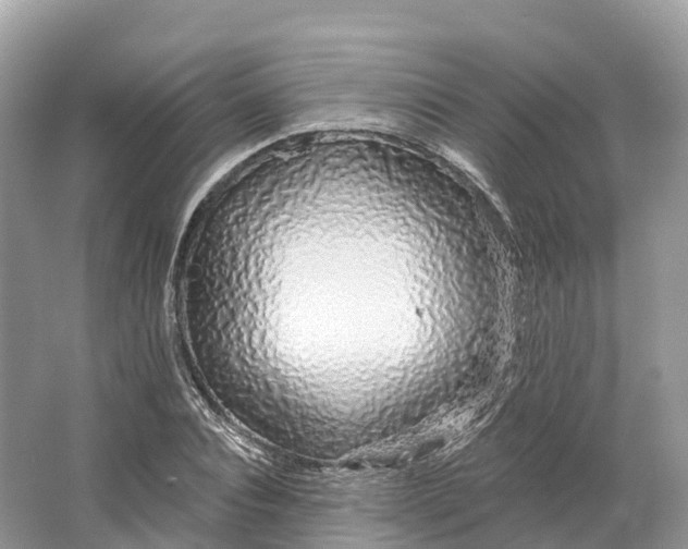 X0000064760928200602241909