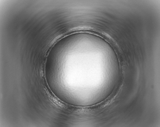 X0000064760929200602241909